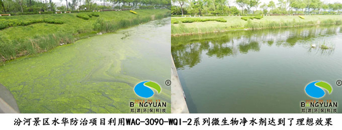 邦源环保降氨氮产品WAC-3090-WQI-2系列微生物净水剂应用于项目效果图