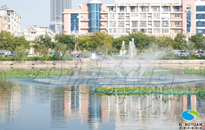 曝氣噴泉和納污生態浮島在龍運湖水污染治理項目中應用效果圖