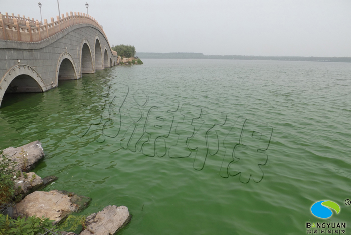 湖泊水體爆發藍藻問題