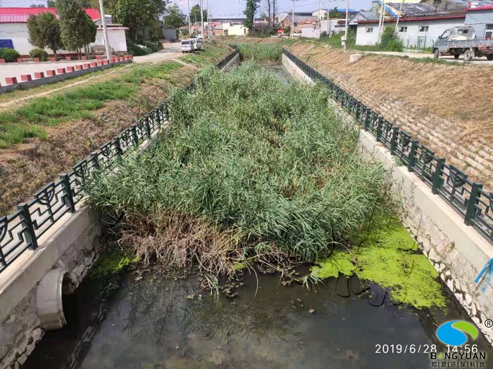 河道治理前生态系统破坏，水体污染严重