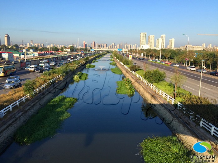 水生態修復后效果圖