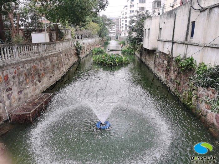 水質提升后效果圖