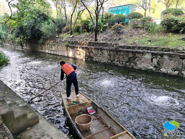 水質(zhì)提升效果圖